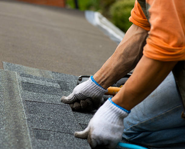 Best Gutter Installation and Roofing  in Mount Cob, PA